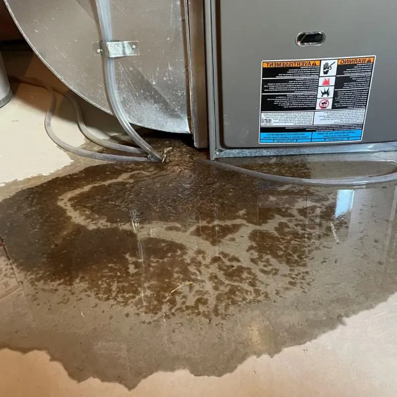 Pipe Burst and Leak Restoration in Breckenridge Hills, MO