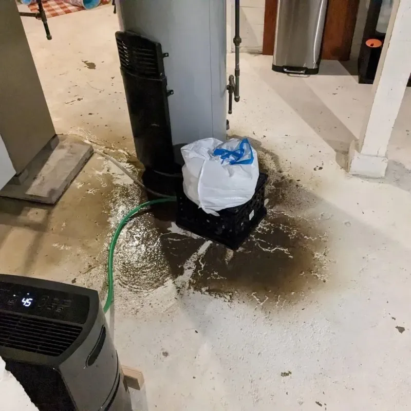 Sewage Backup Cleanup Service in Breckenridge Hills, MO